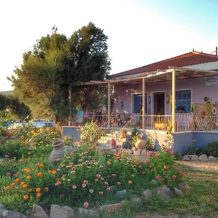 Aegeanheaven Villa Skala Eresou Exterior photo